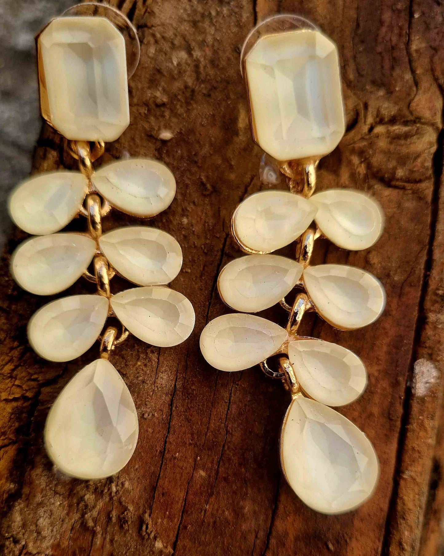 Nature-Inspired Crystal Earrings for the Modern Woman Attractive Sister