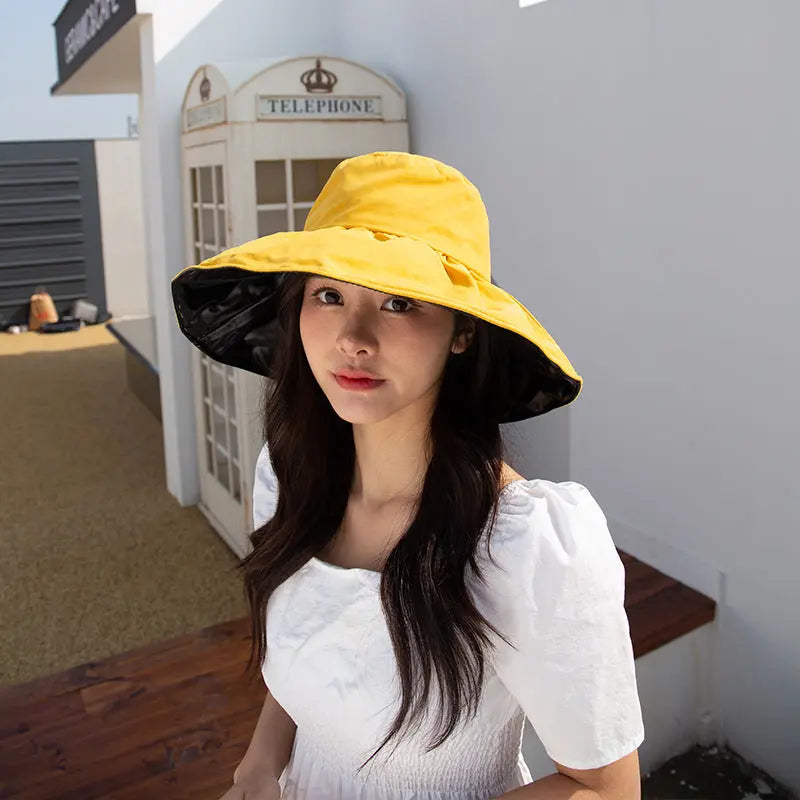 Women's Fashion Thin Big Brim Hat Attractive Sister