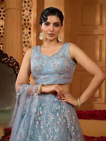 Premium Net Lehenga with Sequins and Stone Accents for Party Look / RE