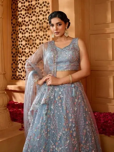 Premium Net Lehenga with Sequins and Stone Accents for Party Look / RE